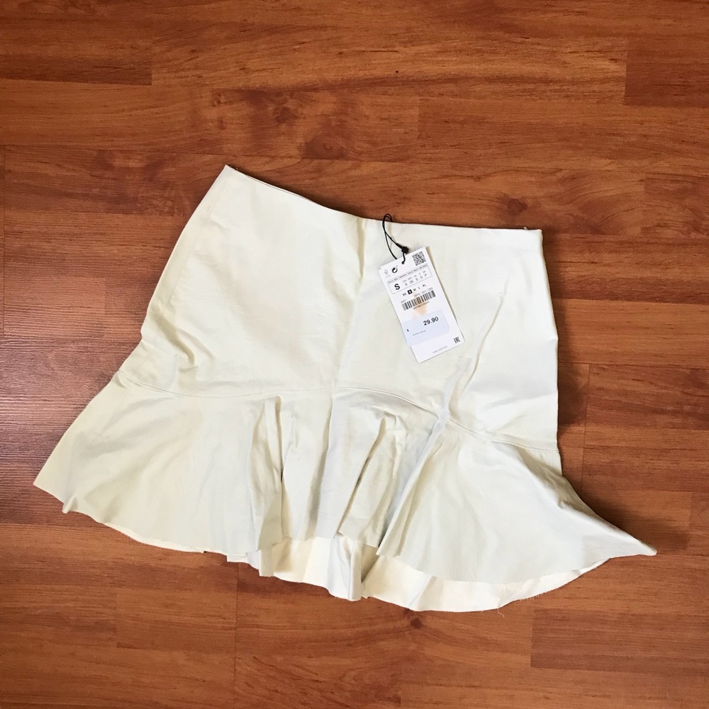 ZARA Skirt